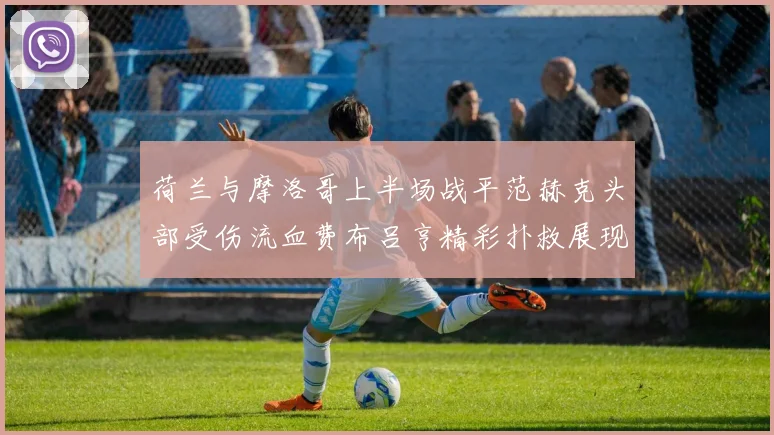 荷兰与摩洛哥上半场战平范赫克头部受伤流血费布吕亨精彩扑救展现实力